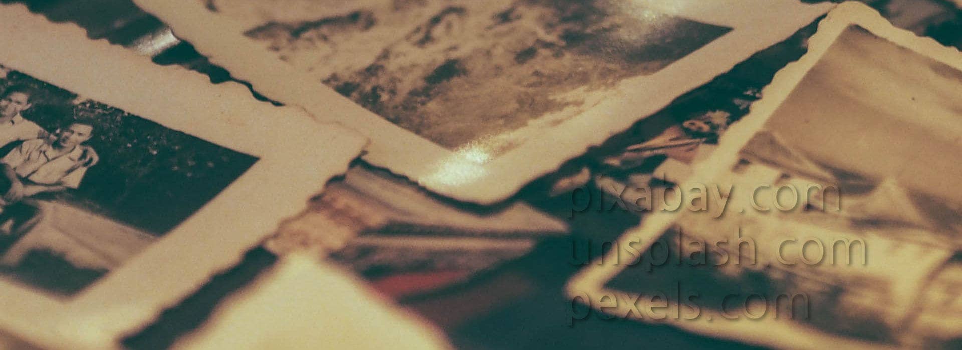 Darmowe zdjęcia - polecane serwisy