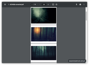 Plik PDF stworzony na podstawie zdjęć jpg